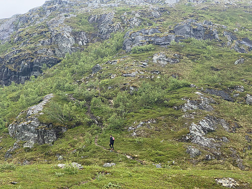 Bilde #6: Stien fra skaret sør for Vikahornet, og opp nordryggen på Stavneshornet N.