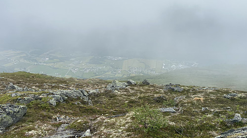 Bilde #13: Utsikt fra "Varden" ned i Stordalen, riktignok noe begrenset på grunn av det lave skydekket.