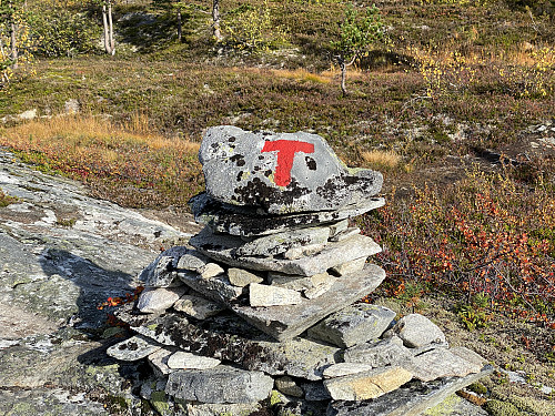 Bilde #4: Ruta mellom Reindalsetra og Pyttbua er godt merket med varder og røde T'er. Traséen fra denne kanten opp på selve Pyttegga er imidlertid ikke merket.
