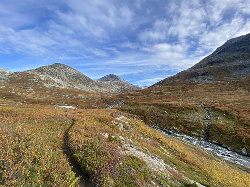 Bilde #6: Øvre Reindalen i vakre høstfarger. Til venstre i bildet sees Illstigfjellet og Småkoppegga. Til høyre sees Lågstolen [1434 m.o.h.].
