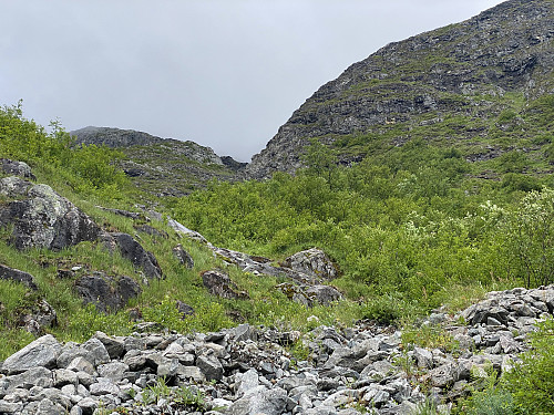 Bilde #3: Første del av renna opp sørsida av Svartebottstinden.