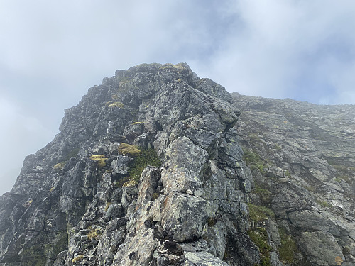 Bilde #7: Siste del av ryggen opp mot toppen av Svartebottstinden [1207 m.o.h.].