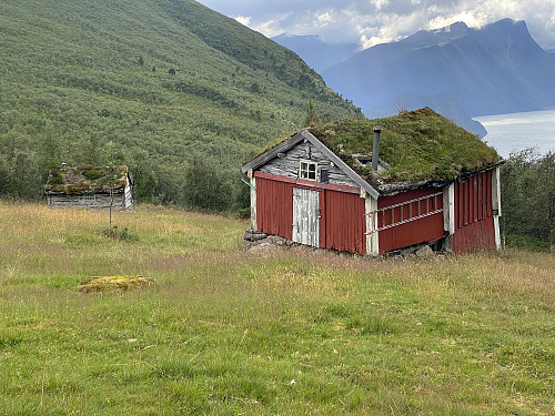 Bilde #23: På Grisetsetra, 510 m.o.h.