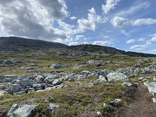 Bilde #17: Komfortruta, på vei oppover Høgnosa. Litt høyere oppe tar man enten til venstre mot Mjølvafjellet, eller man tar til høyre mot Mjølvaskaret og Høgaksla.