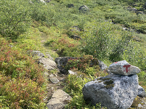 Bilde #5: Dette partiet av stien, som også fører både til Hoemsbu og til Svartvassbu, er merket med røde T'er på steinene.