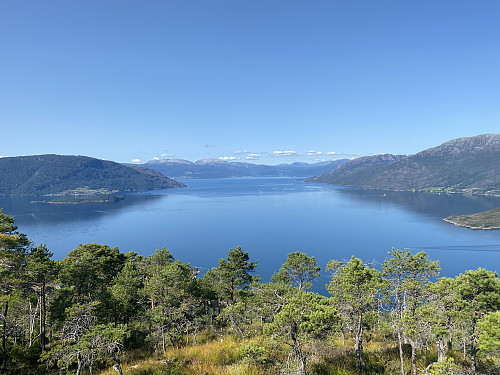 Bilde #2: Utsikt fra Svartaberget utover Hardangerfjorden.