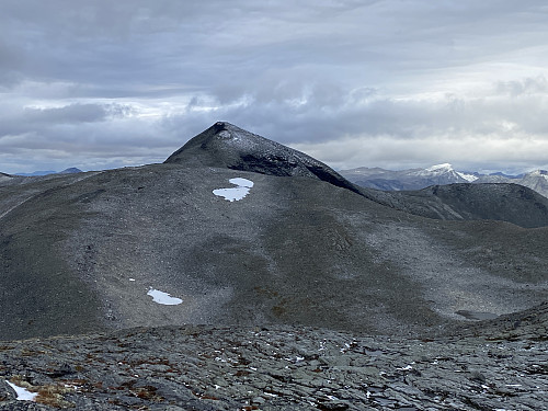 Bilde #8: Utsikt fra Vassdalshornet [1428 m.o.h.] mot Tolleknivsegga [1530 m.o.h.]. Det var allerede langt på dag, ellers hadde vi nok lagt turen bortom der også.