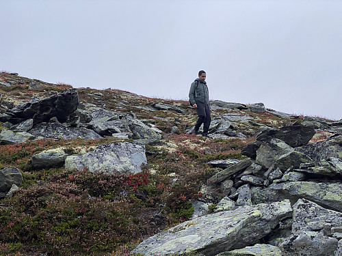 Bilde #19: På vei ned fra østryggen av Kallskaregga.