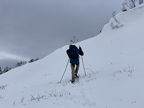 Bilde #6: Her har vi endret retning igjen, og er på vei vestover mot Vardevatnet [838 m.o.h.] og Vardefjell [893 m.o.h.].