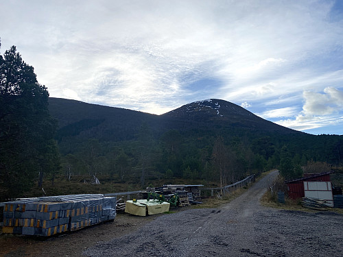 Bilde #1: Utsikt oppover mot Skåla [863 m.o.h.]. Første del av turen gikk på grusvei.