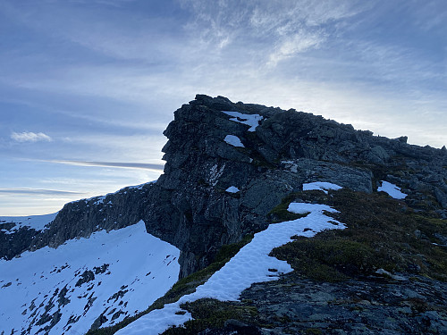Bilde #6: Vi nærmer oss toppen på Blåtinden [1166 m.o.h.].