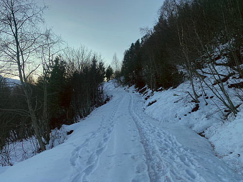Bilde #1: Veien oppover fra Lingåsen til Klovsetsætra.