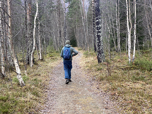 Bilde #1: Her følger vi Olavsvegen nordover fra Valldal sentrum. Denne vegen skal ha vært ryddet av selveste Hellig-Olav så tidlig som i år 1028/29.