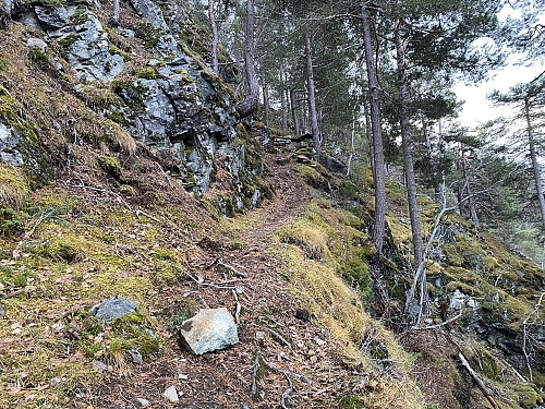 Bilde #5: Stien fortsetter bratt oppover.