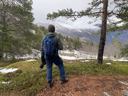 Bilde #9: Oppe på Syltefjellet, eller Ytterlinakken. Her i Peakbook er de to navnene brukt på hver sin topp, men lokalt (på skilt etc.) brukes de forvirrende litt om hverandre.