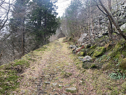 Bilde #1: Første del av traséen opp til Goaldet, går langsetter en gammel skogsvei. Lengre oppe går traséen over i sti.