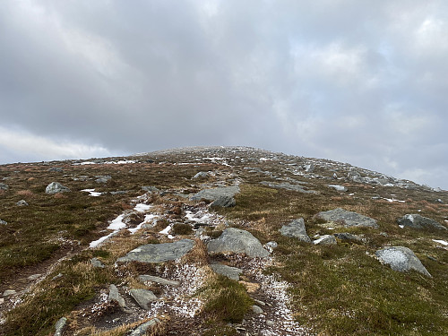 Bilde #1: Siste ryggen på vei opp mot toppen på Skulen [492 m.o.h.].