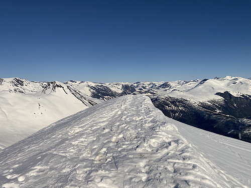 Bilde #8: ...og her er jeg oppe på toppen av Berdalsnibba, 1344 m.o.h.