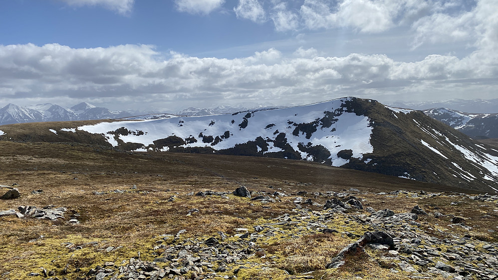 Bilde #15: Sneldelida [634 m.o.h.] sett fra Vesle Signalhornet [617 m.o.h.].