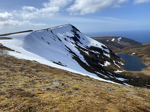 Bilde #16: Sneldelida [634 m.o.h.] og Rjupedalsvatnet [443 m.o.h.].