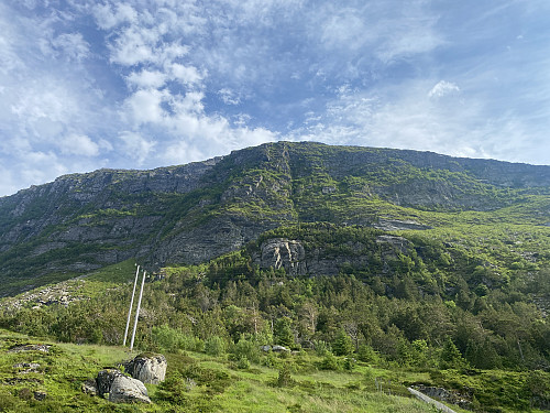 Bilde #1: Fjellsida rett ovenfor tunellåpningen på Alnes.