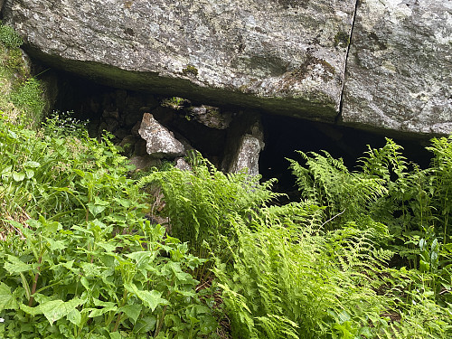 Bilde #7: Et stykke oppi Vindsnesrenna kommer man til en passasje under en diger stein.