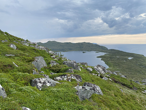 Bilde #12: På vei oppover ryggen nordvest for Sloktindane. Utsikt mot Alnesvatnet [255 m.o.h.] og Lestane [398 m.o.h.].