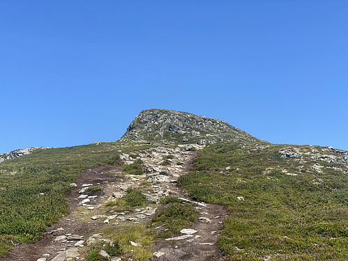 Bilde #6: Etter Nysætra [769 m.o.h.] var det bare å følge beine stien oppover mot toppen av Mefjellet [1099 m.o.h.].