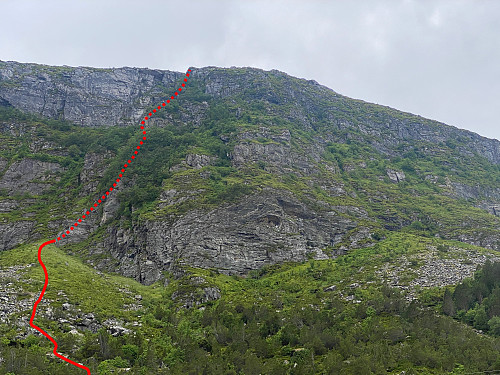 Bilde #2: Traséen jeg fulgte opp Vindsnesrenna 25.06.22, og som jeg etterhvert også endte opp med å følge denne dagen, etter først å ha prøvd meg på ryggen som sees omtrent midt i bildet.