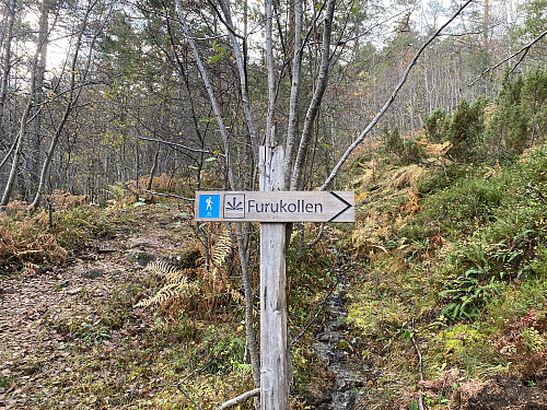 Bilde #4: Skilt som viser stien bort til selve Furukollen [313 m.o.h.]. Stien rett frem går direkte til Hestesetra, uten å gå bortom Furukoll-toppen.