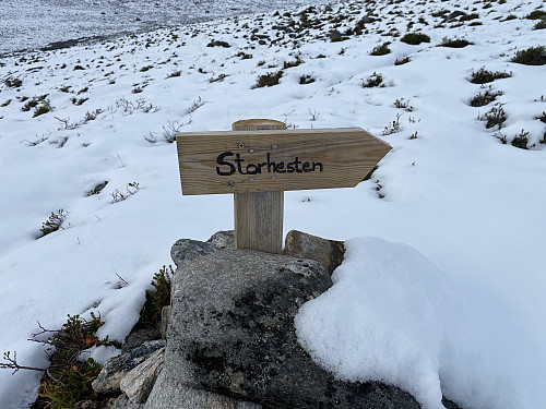 Bilde #34: En to-tre steder på vei ned mot Venjedalssetra, støtte jeg på små skilt som viser veien dersom man bestiger Storhesten fra Venjedalen.