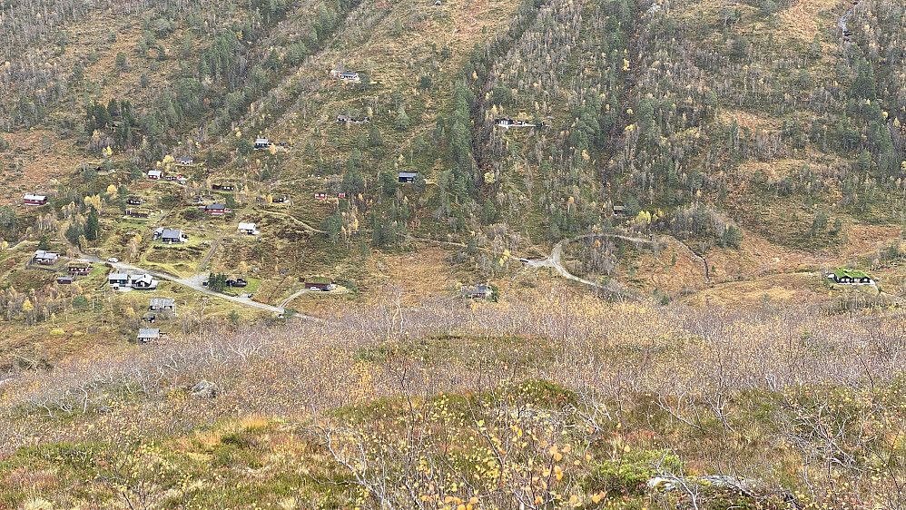 Bilde #35: Hyttefeltet ved Venjedalsetra [380 - 450 m.o.h.].