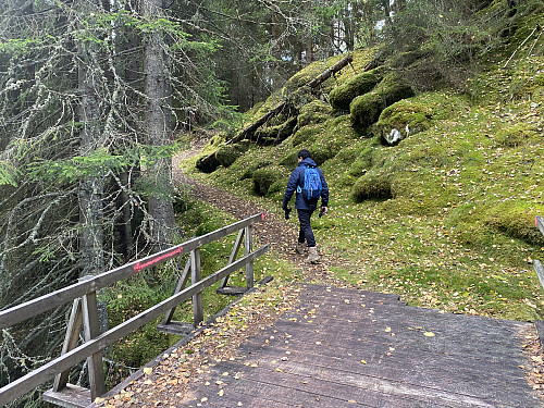 Bilde #2: Brua over Hagedøla.