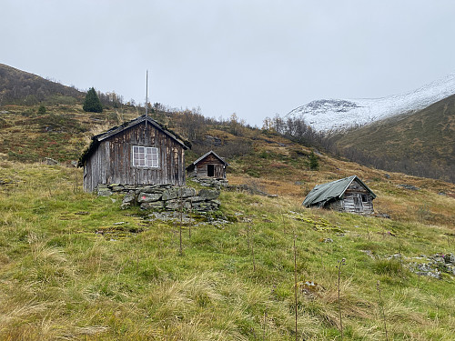 Bilde #4: Lohøgsetra [660 m.o.h.].