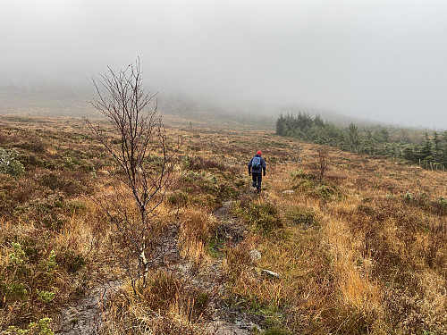 Bilde #1: Første del av stien går over myrlendt terreng i Ringstaddalen.