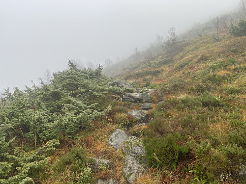 Bilde #2: ...og deretter skråer den oppover fjellsida i retning Hundelaupsvatnet.