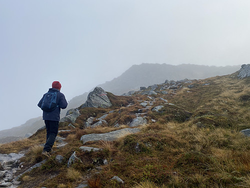 Bilde #5: På stien videre opp mot toppen på Blåtinden [697 m.o.h.].