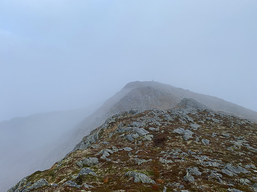 Bilde #7: Tilbakeblikk fra Dyrehornet [671 m.o.h.] mot Blåtinden [697 m.o.h.].