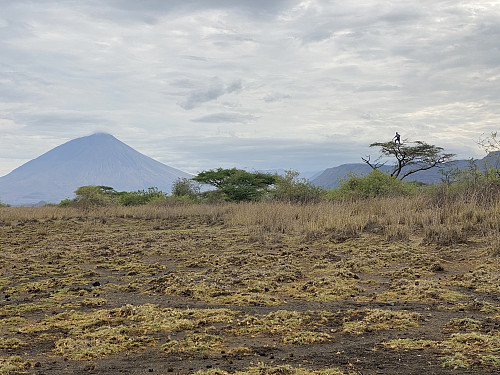 Image #8: On our way down to the shores of Lake Natron. Ol Doinyo Lengai is seen to the left. A Masai boy is seen up in the tree to the right.