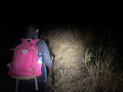 Image #16: Embarking upon the climb of Ol Doinyo Lengai at half an hour past midnight.