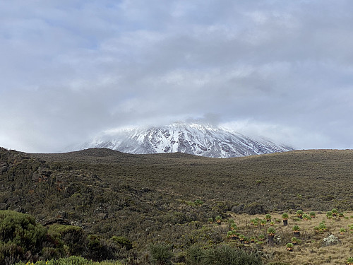 Image #19: The view towards Mount Kilimanjaro from Kikelewa the next morning.