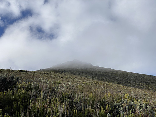 Image #17: ...as well as in the mountain side above us; though the fog was coming and going as we made our way upwards.