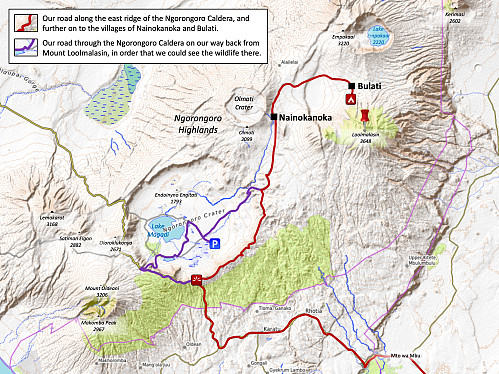 Image #8: Map showing in red our drive to the village of Bulati, from where we started our trek of Mount Loolmalasin, and then in violet our drive back trough the Ngorongoro Caldera the next day.