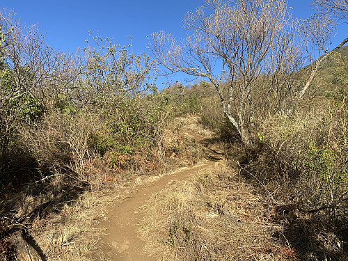 Image #1: The first part of the trail up Mount Hanang went through rather high bushes. As we moved upwards, the bushes became shorter, and the view less obscured.