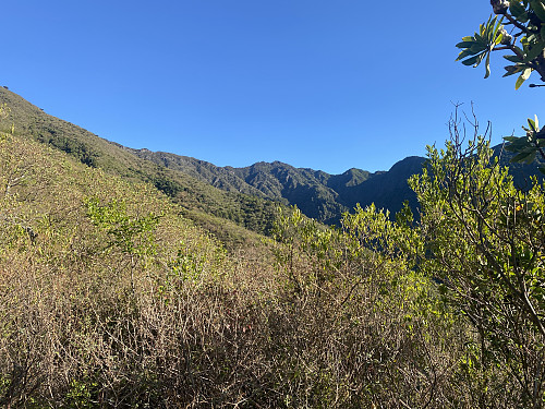 Image #2: View towards the summit. Mount Hanang is an old volcano, and still forms a horseshoe shaped ridge around a valley that is actually an ancient crater.