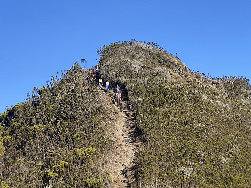 Image #7: A group of Dutch and British tourists with their support staff on their way back form the summit towards the camp site.