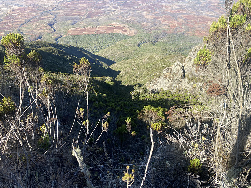 Image #8: The view along a chute down the west side of the mountain ridge, i.e. on the "outside" of the mountain.