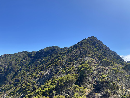 Image #11: We're approaching the summit, i.e. the one located just to the left of the middle of the picture.