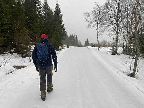 Bilde #1: Helt i starten på turen vår, fulgte vi en ganske fin skogsveg oppover mot Ramnhaugen.