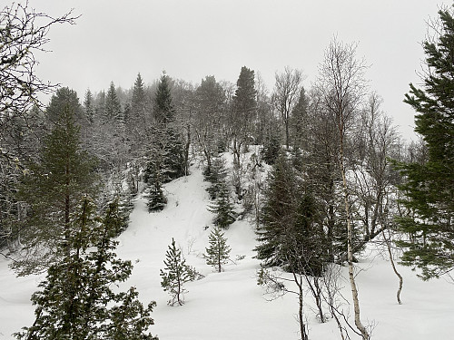 Bilde #3: Fra Ramnhaugskaret var det bare å følge fjellryggen bortover til toppen på Randsetfjellet, selv om snøen var ganske dyp mange steder.